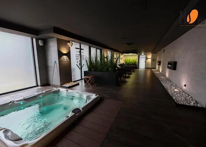 Appartement Ms Pro Comfort Kolo Brzegu Z Mini *