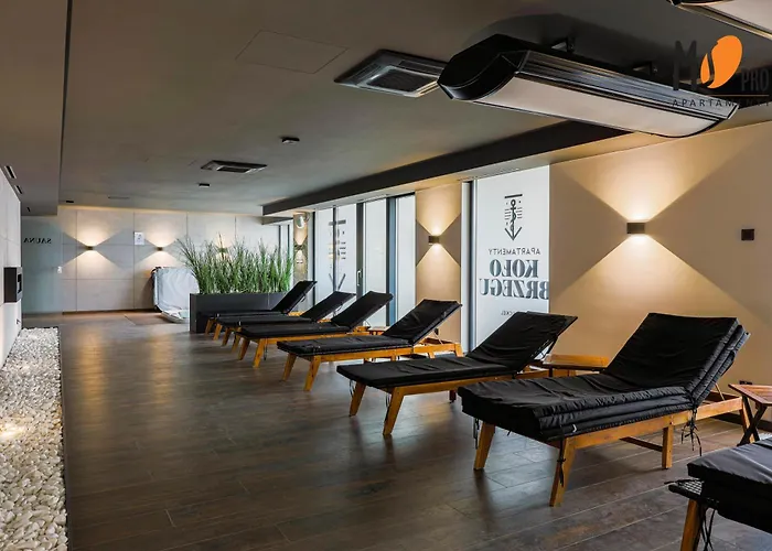 Ms Pro Comfort Kolo Brzegu Z Mini *