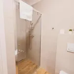 Apartment Ms Pro Comfort Kolo Brzegu Z Mini