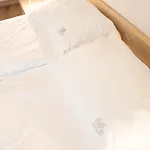 Ms Pro Comfort Kolo Brzegu Z Mini