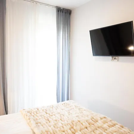 Ms Pro Comfort Kolo Brzegu Z Mini