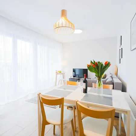 Apartment Ms Pro Comfort Kolo Brzegu Z Mini