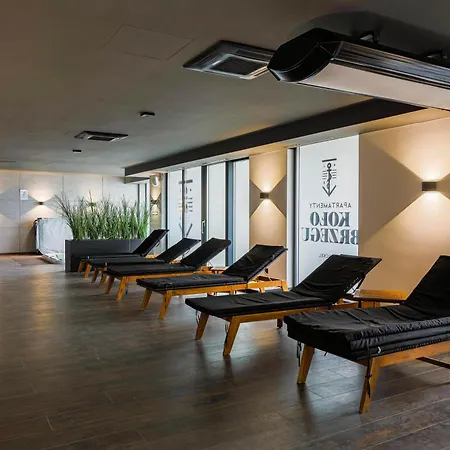 Ms Pro Comfort Kolo Brzegu Z Mini *