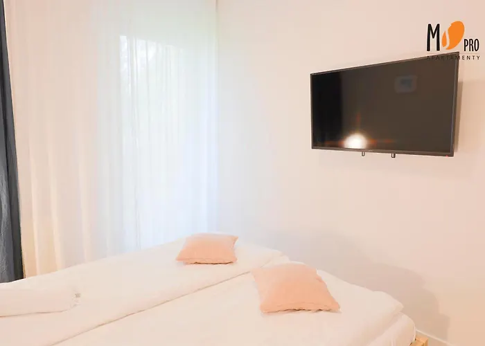 Ms Pro Comfort Kolo Brzegu Z Mini * كولوبرزيغ