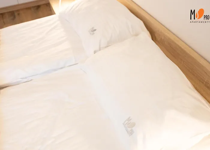 Ms Pro Comfort Kolo Brzegu Z Mini